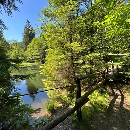 Dagmar 120qm 3 Schlafzimmer Wellness Olsberg