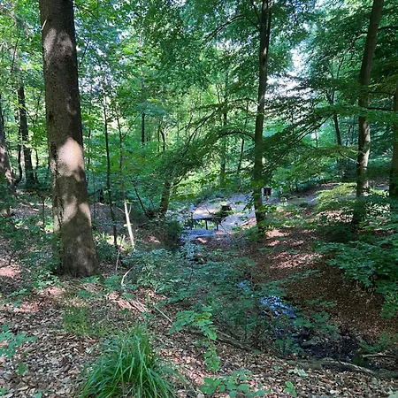 Apartamento Dagmar 120qm 3 Schlafzimmer Wellness Olsberg