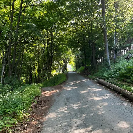 Dagmar 120qm 3 Schlafzimmer Wellness *