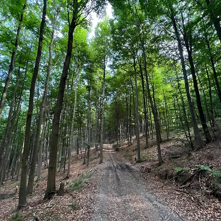 Apartmán Dagmar 120qm 3 Schlafzimmer Wellness