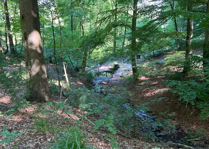 Dagmar 120qm 3 Schlafzimmer Wellness Appartement