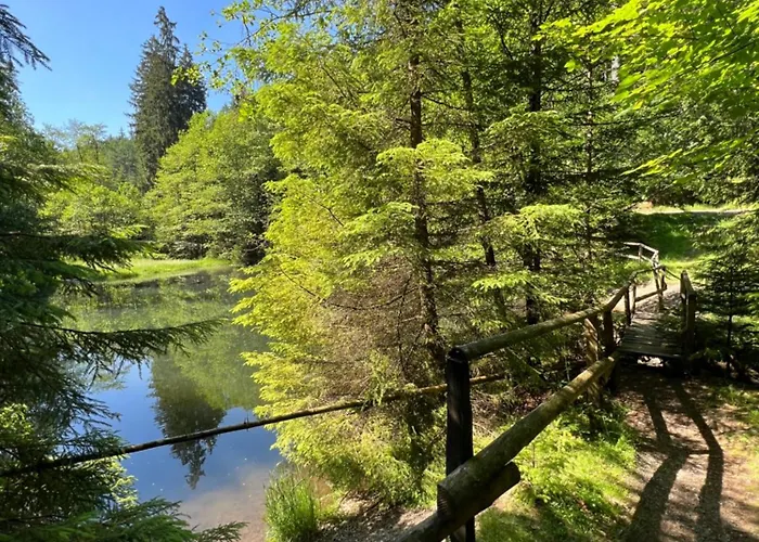 Dagmar 120qm 3 Schlafzimmer Wellness Olsberg